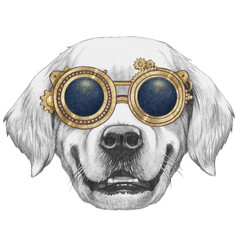 Portrait of Golden Retriever with goggles. Hand-drawn illustration.