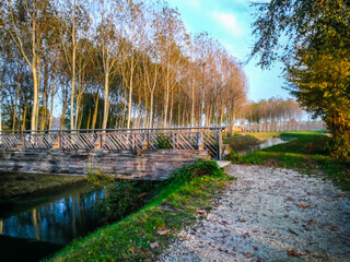 View on the Tergola river in the province of Padua, Veneto - Italy