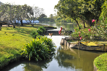 Fototapeta na wymiar Landscape view of the pond in the garden at King Rama 9 Park in Bangkok Thailand