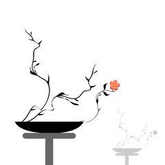 An Ikebana Arrangement