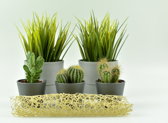 Obraz premium Trzy małe kaktusy i sztuczne trawy.
