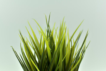 Długie, zielone liście sztucznej  trawy. - obrazy, fototapety, plakaty