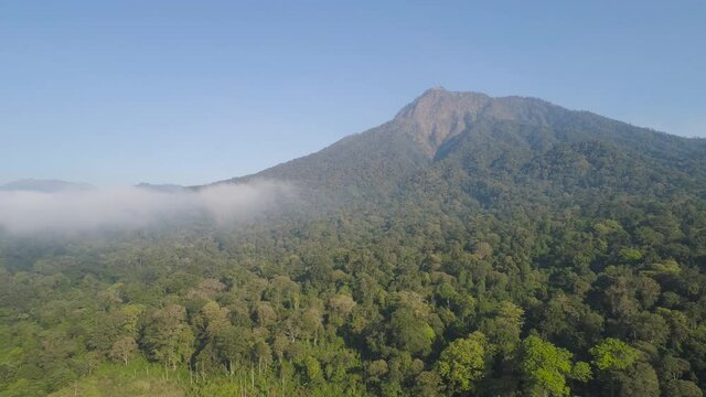 aerial view tropical forest covered clouds with lush vegetation and mountains, java island. tropical landscape, rainforest in mountainous area Indonesia. green, lush vegetation. aerial footage