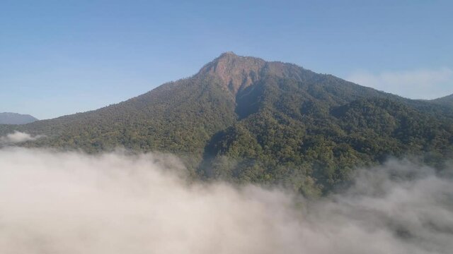 aerial view tropical forest covered clouds with lush vegetation and mountains, java island. tropical landscape, rainforest in mountainous area Indonesia. green, lush vegetation. aerial footage