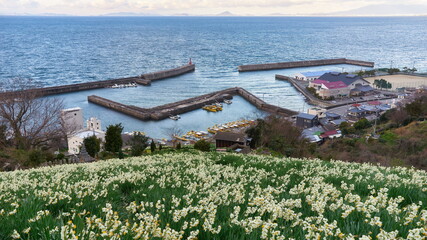 Fototapeta na wymiar 漁船と水仙の花のある絵のように美しい日本の瀬戸内海にある漁港の美しい冬の風景