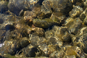Stones in bottom of sea shore trough very clear  water