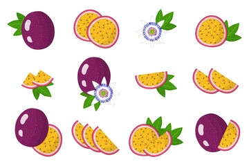 Set of illustrations with Passionfruit exotic fruits, flowers and leaves isolated on a white background.