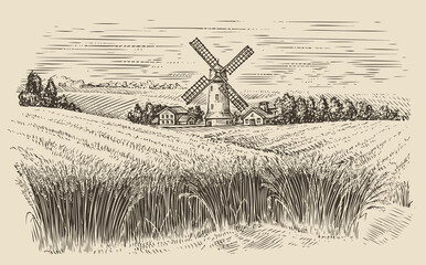 Windmill in a rural landscape. Wheat field sketch vintage vector illustration © ~ Bitter ~