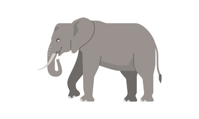 Wild animal african elephant the largest mammal on earth, most often living in savannas, grasslands, and forests, flat vector illustration isolated on white background