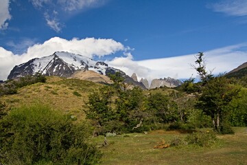 Monte Almirante Nieto 2.640 meters high mountain in the Torres del Paine National Park. Patagonia. Chile. South America.