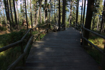 Board walk to the summit of Boubin in Bohemian Forest,South Bohemian Region,Czech republic,Europe
