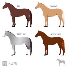 Horse Breeds: Set of Vector KWPN Sport Horses