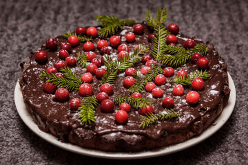 Christmas cake. Decorated with big cranberries and powder sugar.