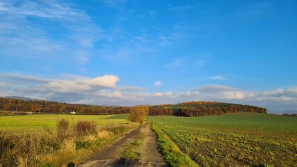 landscape in autumn