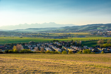 Fototapeta premium vineyard in autumn