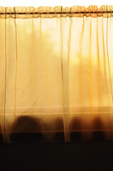 Curtains on the train