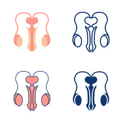 Male reproductive system icon set in flat and line style