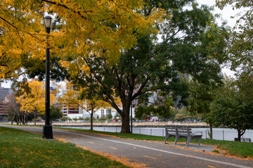 Naklejka premium Empty Path at Rainey Park in Astoria Queens New York during Autumn with Colorful Trees