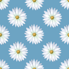 Romantic daisy watercolor seamless pattern on blue background