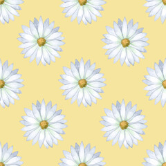 Romantic daisy watercolor seamless pattern on yellow background