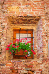 Fototapeta na wymiar Potted plants grow in terracotta containers outside in the town of Certaldo, in the heart of Tuscany, Italy.