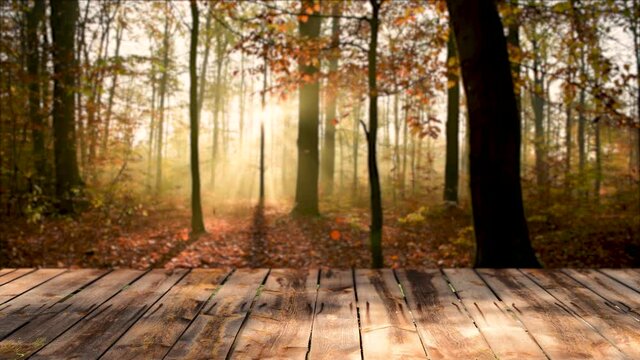 Empty wooden table background in autumn forest	