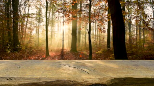 Empty wooden table background in autumn forest	