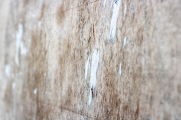 Fototapeta premium Detail photo of wooden surface for texture or background with white areas