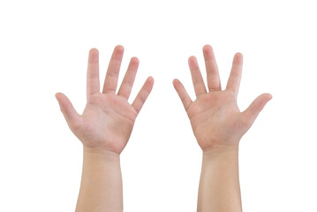 childrens hands show ten fingers isolated on white background.