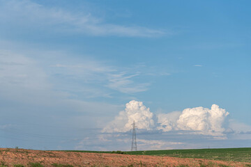 Fototapeta na wymiar Soy production field and power tower and in the background cumulunimbus clouds forming rain and hail