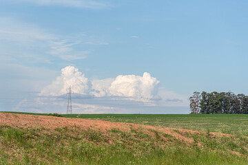 Naklejka na ściany i meble Soy production field and power tower and in the background cumulunimbus clouds forming rain and hail