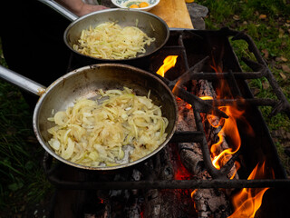 pans on the fire on the grill. roasting onions in the bright flames of the brazier.