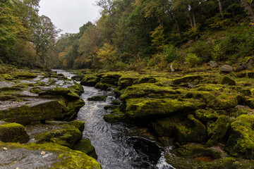 River Wharfe and The Strid