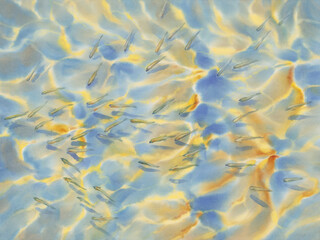 Sunny water with transparent waves watercolor background