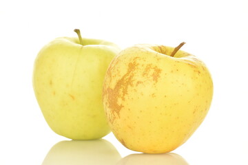 Two fresh yellow apples, close-up, isolated on white.