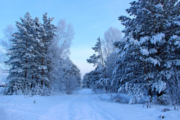 This is a real fairy tale. In the center of the photo – the road, covered with snow. On the sides of the road are trees. Snow lies on each branch and creates the impression of a certain miracle.