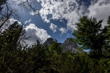 Fototapeta na wymiar green forest in the mountains with white clouds on the sky
