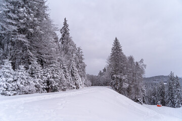 Der Berg Belchen im Schwarzwald