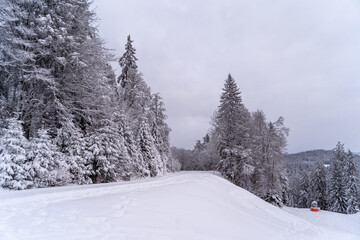 Fototapeta na wymiar Der Berg Belchen im Schwarzwald