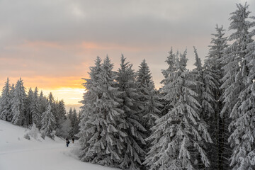 Der Berg Belchen im Schwarzwald