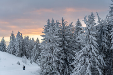 Der Berg Belchen im Schwarzwald