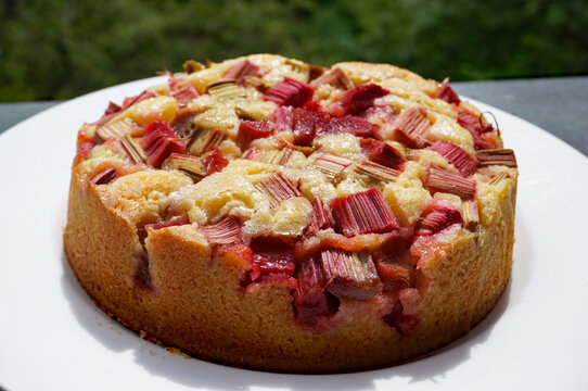 Rhabarberkuchen mit R&uuml;hrteig in der Springform gebacken, Kuchen mit frischem Rhabarber, rhubarb cake, sponge mixture