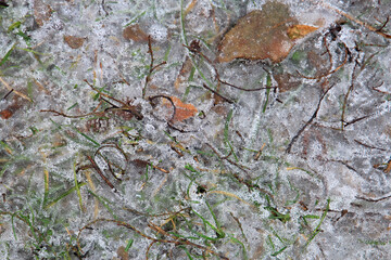 hoarfrost on the grass after the first snow