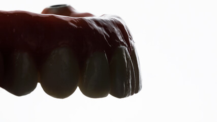 creative photo of upper jaw prosthesis with beautiful light on white background