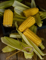 corn