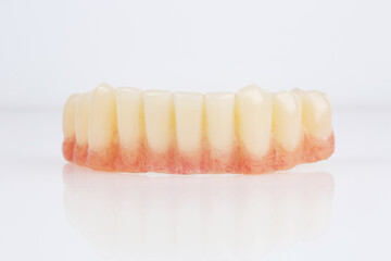 excellent lower jaw prosthesis with artificial gum on a white background