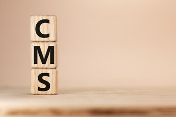 Word CMS Content Management System made with wood building blocks