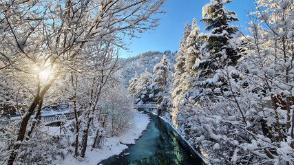 Borjomi river in Georgia. Winter forest in December. Sunny day in a snowy forest. Georgia, 2020.25.12. Borjomi,