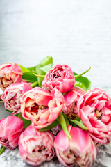 Pink tulips on a white background. Flat lay, top view. Valentine background. Spring mood. Horizontal, copy space.