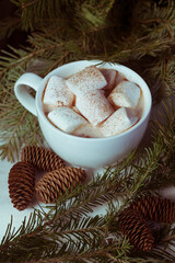 Cocoa with marshmallows, cones and fir branches